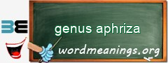 WordMeaning blackboard for genus aphriza